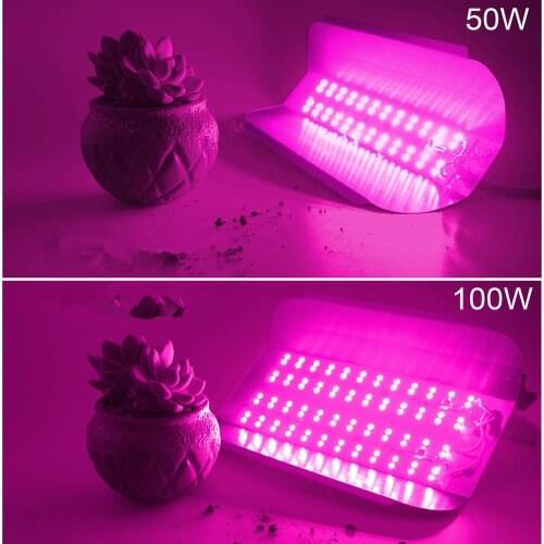 LED COB lodine tungsten Spectrum LED grow pink 380-840nm 100W 50W AC 220V 110V led IC plant lights fllood light Vegetable plan