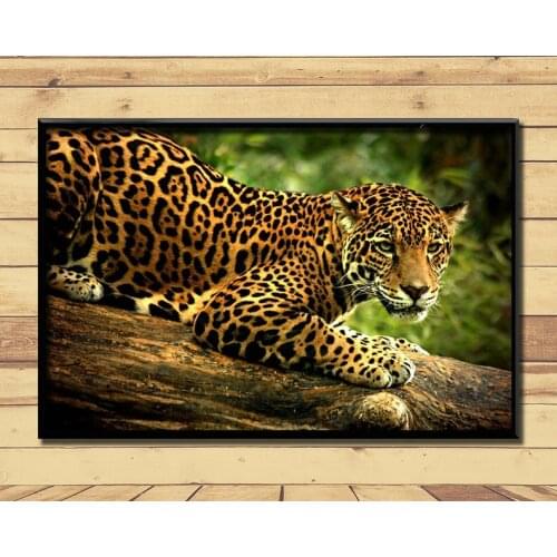 Jaguar Strong And Fast Land Animal (24) Wall Posters Prints Silk Art Painting For Home Wall Bedroom Decor