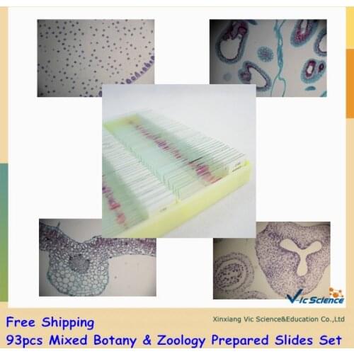 93pcs Mixed Botany & Zoology Prepared Slides Set