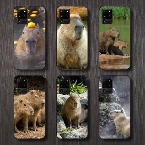 Capybara cute animal pattern Phone Case For Samsung galaxy A S note 10 7 8 9 20 30 31 40 50 51 70 71 21 s ultra plus
