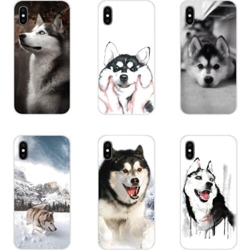 Alaskan Malamute Siberian husky dog For Samsung Galaxy S2 S3 S4 S5 Mini S6 S7 Edge S8 S9 S10E Lite Plus Mobile Phone Case Covers