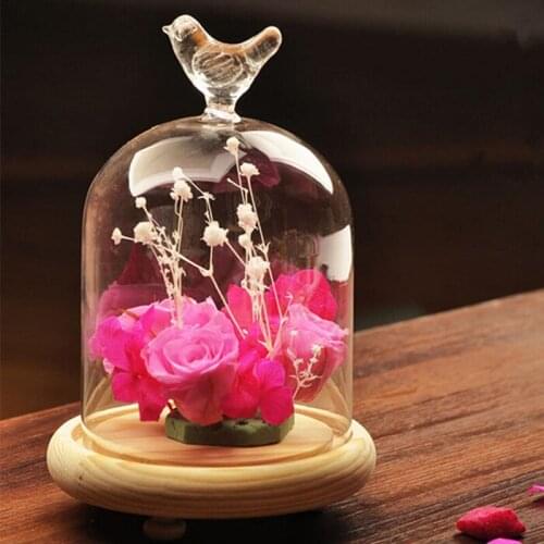 12sets/pack Bird Top Glass Dome Home Decorative Vase Creative Wedding Favor Gift Creative Bird Glass Cover Business Gift