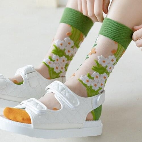 Secret Garden Transparent Cass Glass fiber Silk Socks Sexy Middle tube Silk stockings for Ladies Girls Women Spring Summer Lace