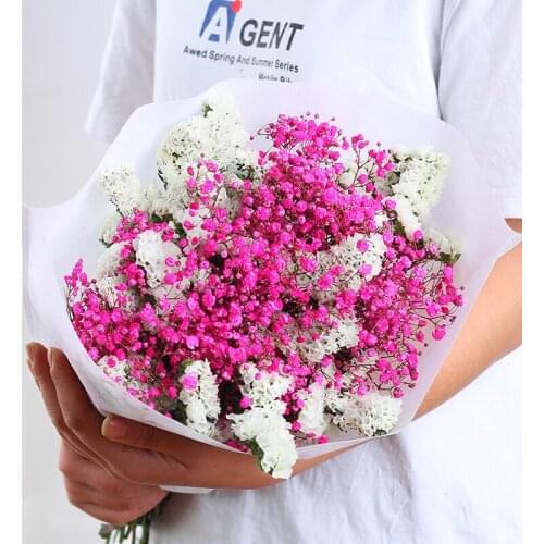 Gypsophila Panicula Flores Preservadas Natural Dried Not Forget Me Flowers Bouquet De Mariage Wedding Gift Party Room Decoration