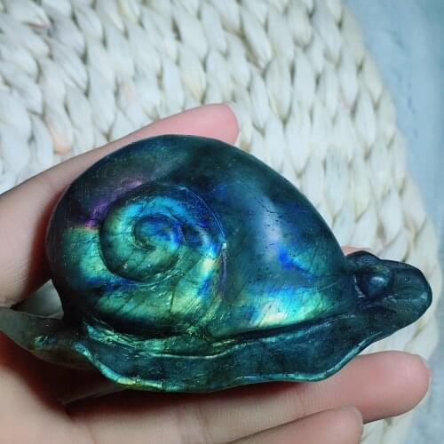 Labradorite snail