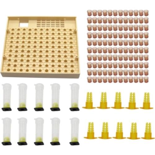 Queen Rearing Kit, Queen Rearing Cup Kit Bee Cultivating Tool Plastic Beekeeping Box Cage Sets
