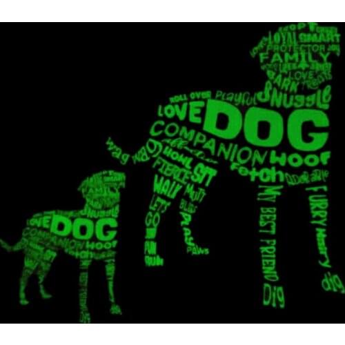 Letters Patch DOG Noctilucence deal with it Clothes Stickers Iron Ons Heat Transfer Printing Patches for Clothing Animal Pattern