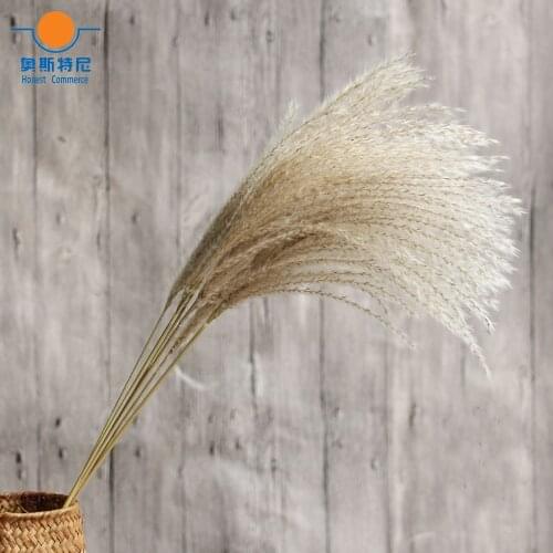 Dried natural flower bouquets natural dried reed flowers&bulrush flowers&Phragmites flowers for home decoration