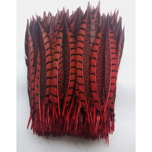 High quality red 50pcs Lady Amherst Pheasant feathers, 10-12 "/ 25-30cm diy jewelry decorative props