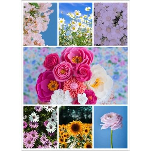 DIY Flower Picture Art Diamond Painting Wall Art Posters Drill Embroidery Cross Stitch Pictures Home Decor JX158