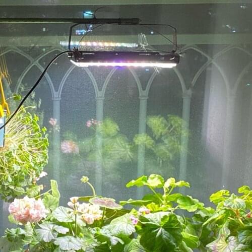 LED Grow Light 800W Full Spectrum Phyto Lamp Red Blue 3500K 5500K White LEDs Phytolamp For Plants Orchids Seedlings Tent Garden