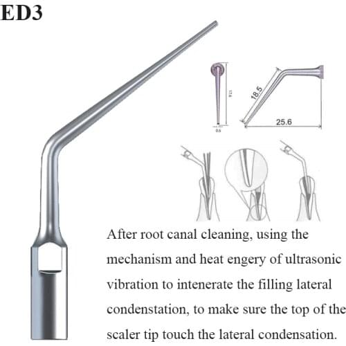 Dental scaler ultrasonic endodontic root canal tip For SATELEC WOODPECKER DTE GNATUS handpiece