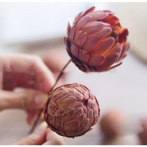 African Phoenix Ball Dried Flowers for Decoration Birthday Party Table Home Decor and Accessor Florist Supplies Room Ornaments