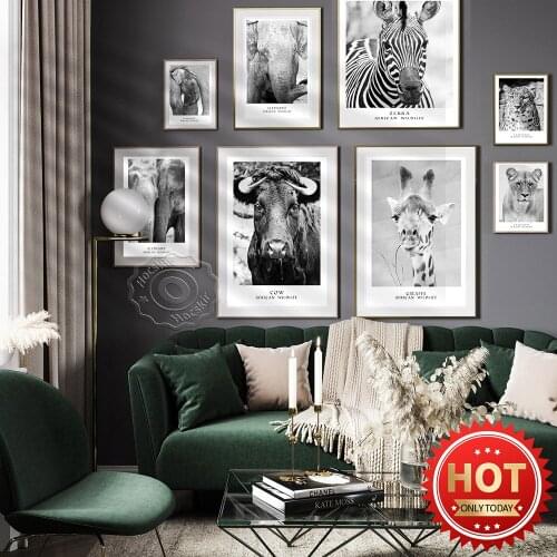 African Wildlife Black And White Art Poster, Koala Leoparo Giraffe Cow Elephant Zebra Lion Tibetan Antelope Vintage Decor Mural