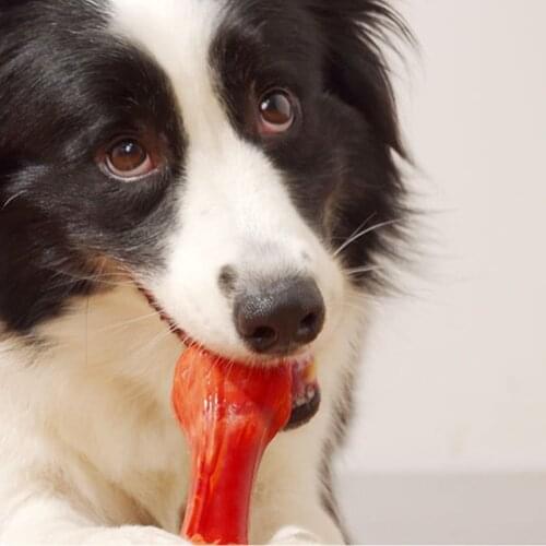 Dog toys, Beef flavor bite-resistant, chew, molar stick, clean teeth, dog bones, large dogs, indestructible, pet supplies
