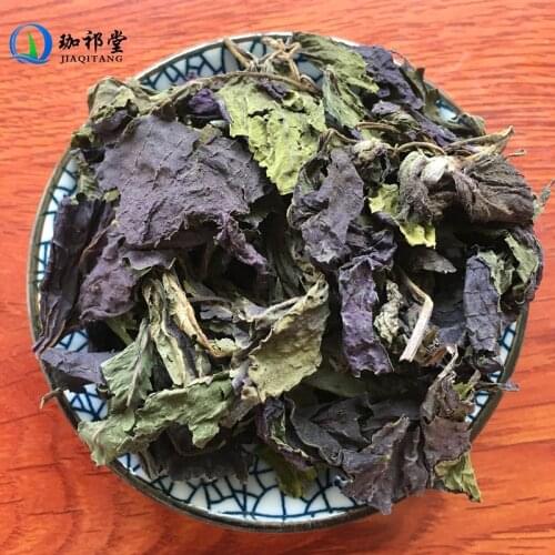 Perilla Leaf Folium Perillae Perilla Frutescens L. Britt. ZiSuYe