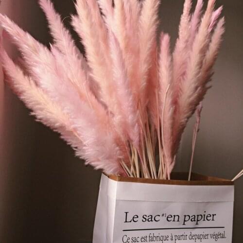 5/20/25pcs INS Bulrush Natural Dried Flowers Artificial Plant Branch Pampas Grass Phragmites Fake Flower Wedding Home Decoration