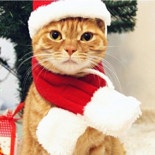 10sets Dog Caps Pet Birthday Scarf Set Supplies Christmas Costume for Puppy Kitten Small Cats Dogs Pets Accessories