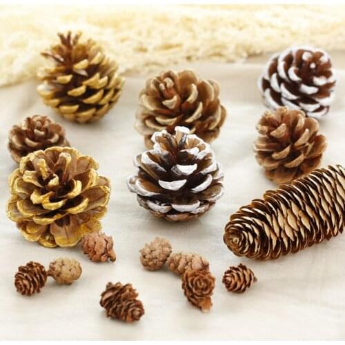 Natural pinecone shooting props background home accessories christmas day decoration pine cone larch pine ball