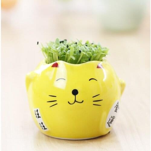 Lucky Cat Mini radiation aerobic planting potted indoor cultivation of creative advertising customized gifts Decoration