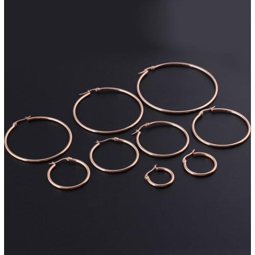 2 pieces Rose Gold Women earring jewelry 316L Stainless Steel Hoop Earring for girl women Fashion Jewelry Hoop Earrings
