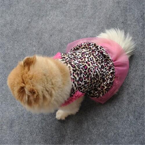 OCARDIAN Clothes And Footwear For Dogs