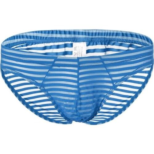 VANSTINBUM Sexy Low Waist Underwear Briefs Mens Mesh Striped Transparent Underpants Cueca Masculina U Pouch Male Bikini Panties