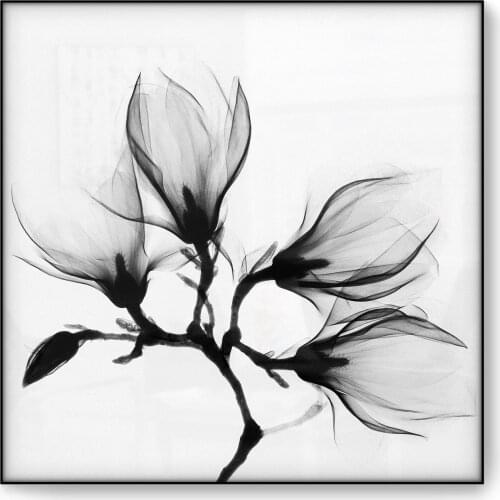 Vintage Poster Magnolia Flowers Branch Wall Art Print Picture Canvas Print Painting Ray Photography Black White Home Decoration
