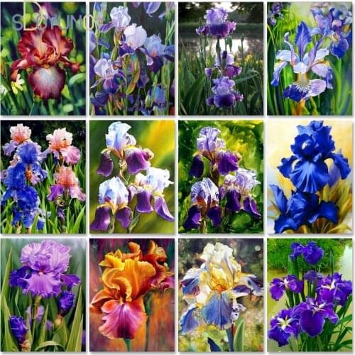 SDOYUNO DIY Paint By Number Canvas Painting Kits Flower Art Unique Gift 40x50cm Pictures By Numbers iris Home Wall Artwork