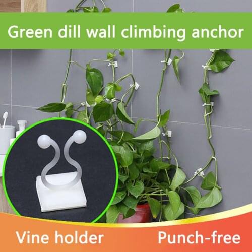 100PCS Plant Climbing Wall Self-Adhesive Fastener Tied Fixture Vine Buckle Hook Garden wall climbing Vine Clip Fixed Buckle HooK
