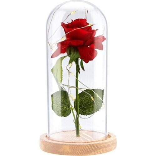 Beauty Rose in LED Glass Dome Forever Rose Red Rose Valentines Day Mothers Day Special Romantic Gift