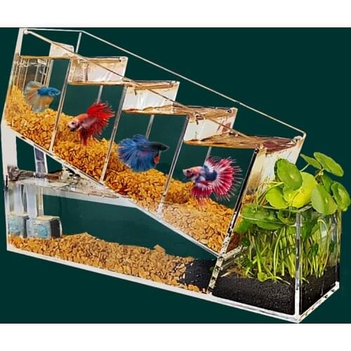 Fashion Betta Fish Tank Acrylic Desktop Small Fish Bowls Multi-cell Isolation Area Self-circulating Filtration Aquarium Products