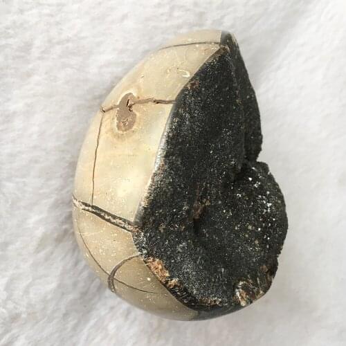 Natural Septarium Geode Raw Quartz Crystal Geode Mineral Specimen Healing Crystal Stone Home Decoration