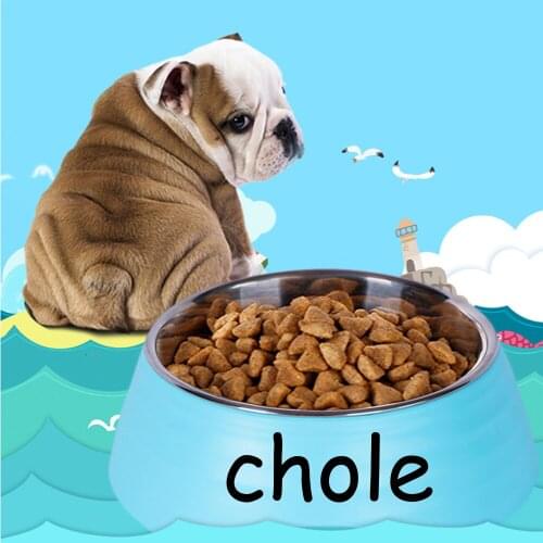 Free Customized Pet Name Non-slip Cat Bowl Stainles Steel Pet Bowls With Raised Stand Pet Food and Water Bowl For Cat Dog Feeder