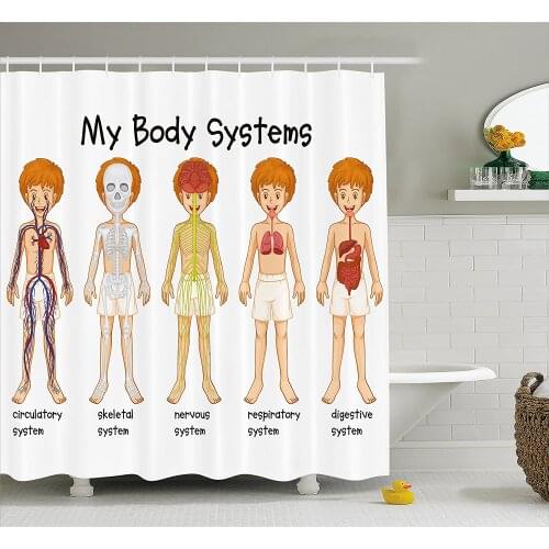 Educational Shower Curtain Different Systems in Human Nervous Skeletal Digestive Body Anatomy Young Kids Bathroom Curtains
