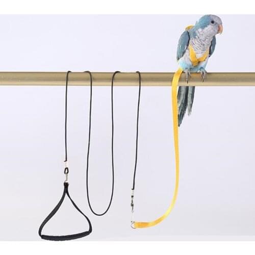 Hot Sale Anti-bite Flying Training Rope Parrot Bird Pet Leash Kits Ultralight Harness Leash Soft Portable Pet Playthings