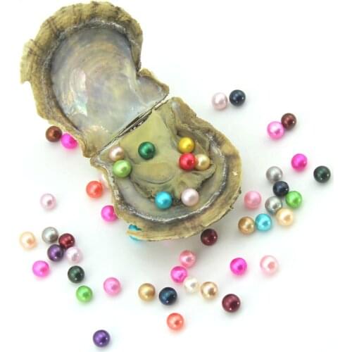 10/20/50/100Pcs Vacuum-Packed Round Pearls in Oyster Saltwater Pearl Oysters Natural Pearls Womens Birthday Wedding Gift EE055
