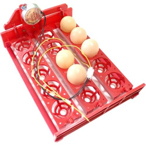 15 Eggs Mini Incubator Automatically Turn Eggs Tray 220V/110V/12V Laboratory Family Incubator Poultry Bird Incubator Equipment