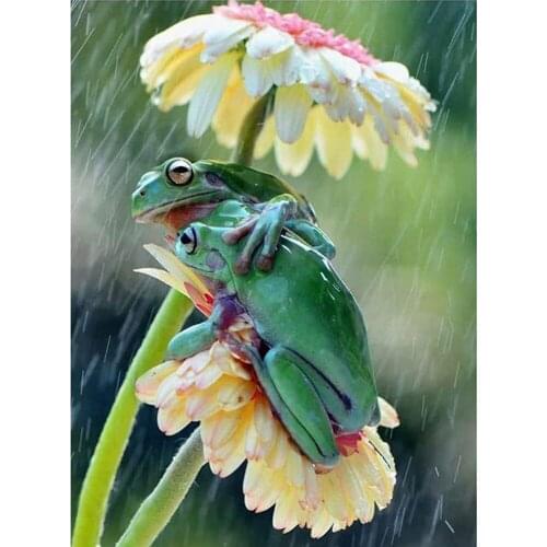 Animal Frog DIY Embroidery Cross Stitch 11CT Kits Craft Needlework Set Printed Canvas Cotton Thread Home Decoration Design