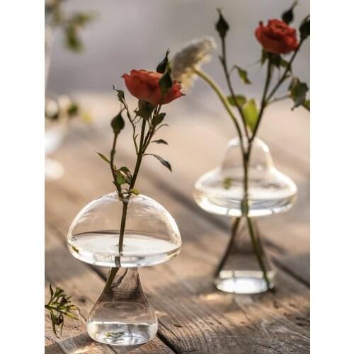 Small Vases Japanese Home Decor Transparent Glass Vase Hydroponic Flower Terrarium Nordic Decoration Home Flower Vase vaso