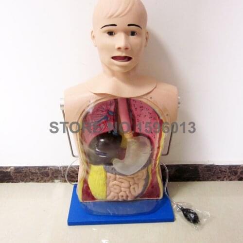 NG Nasogastric Tube and Trachea Intubation Skills Nursing Manikin Training Model