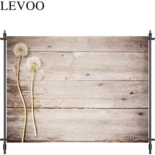 LEVOO new photo backdrop Dandelion board Scenery decorative pattern backdrop for photo studio photocall vinyl background