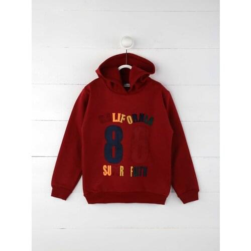 Burgundy Seasonal Male Child Sweatshirt