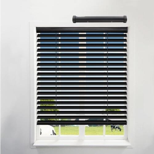 Tuya WiFi Electric Roller Shade Motor with Aluminum Blind Customized Curtain Alexa Google Home SmartLife Control for Office Shop