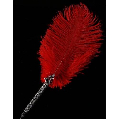 Feather Pen with 5 Nibs Birthday Gift Signature Pen Valentine Gift Office Dip Pen Fountain Pens Calligraphy Pen