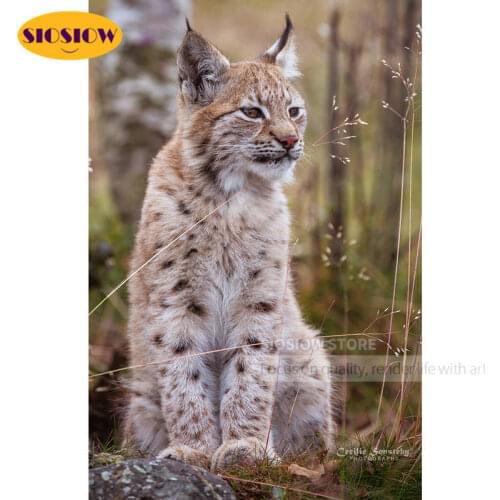SIOSIOW Diamond Painting Lynx Animals Pictures Of Rhinestones Diamond Embroidery Full Display Diamond Mosaic Cat Home Decoration
