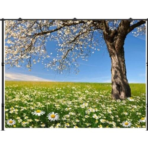 VinylBDS Customized Background Photography Backdrops Backgrounds for Photo Studio