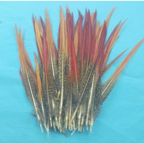 100pcs a pack pheasant feathers red sword fly fishing tying Clothing hats Earrings accessories accessories feathers materials