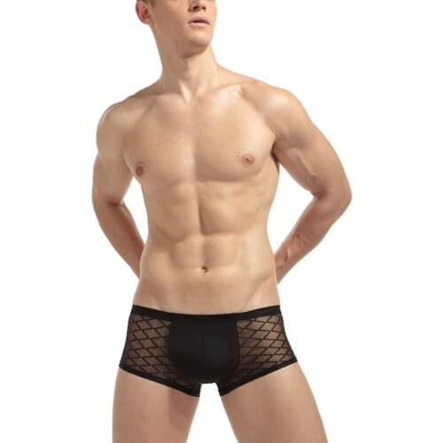 Men Sexy Underwear Grid Breathable Solid Color Mesh Underpants Briefs Underwear Male Perspective Nylon Low Waist Boxer Shorts