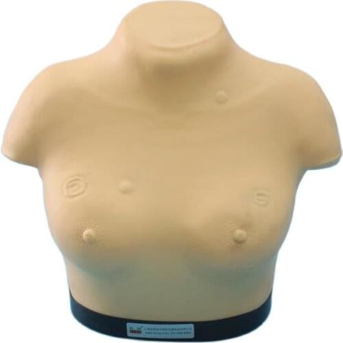 Chinon Senior Breast Visual Examination And Mammary Gland Palpation Model Medicine Student Medical Science EducationBIX-F7B